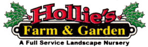 island_hollies-logo